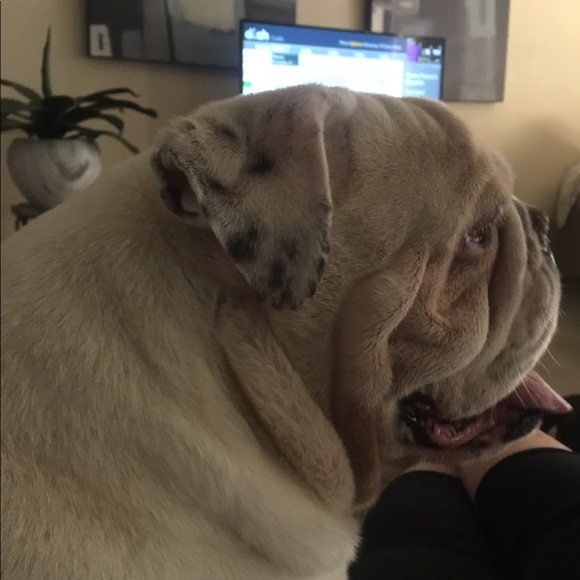 Meet your Posher, Angie - Picture 4 of 6